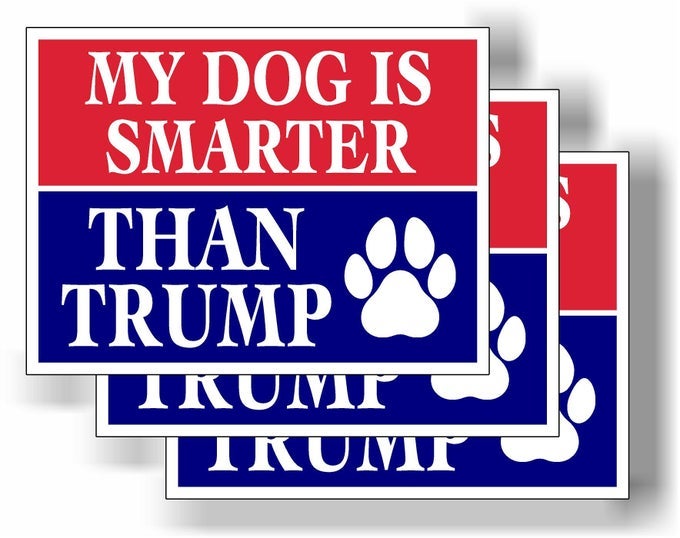 MY DOG IS SMARTER THAN TRUMP BIDEN POLITICAL BUMPER MAGNET SHARE WFAMILY FRIENDS FOR CAR REFRIGERATOR LOCKER OFFICE MAGNETIC SIGN FOR VEHICLE FUNNY FRIDGE MAGNET GIFT 4X3 3 PACK ECO