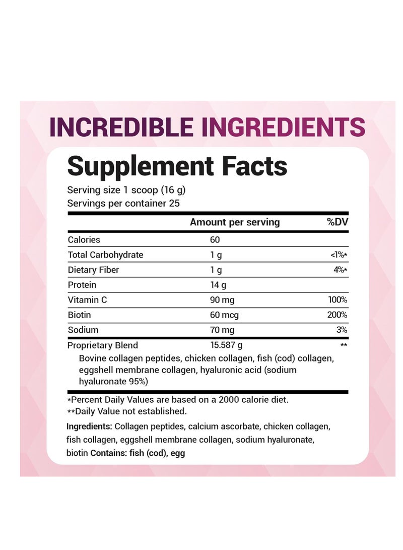 دكتور بيرج نيوتريشنالز أنواع مسحوق ببتيدات الكولاجين المتعددة I، II، III، V، X مسحوق كولاجين بدون نكهة 14.10 أونصة - Image 2