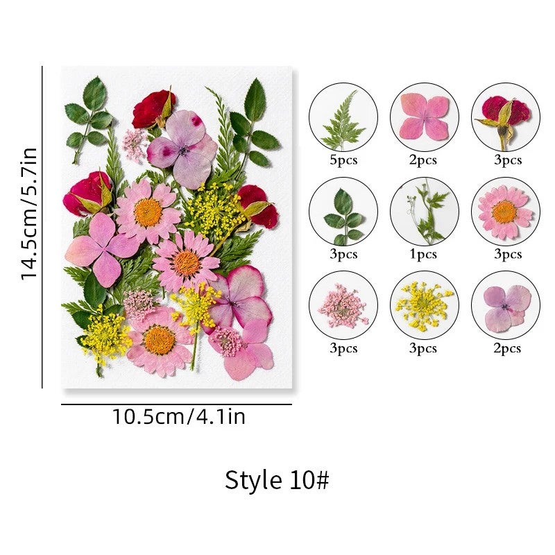 Bluejw INTODIY Dried Flowers Petal Earrings – Natural Red & Purple Dry Flower Fragrance for Nails Art, Table Decoration, and Craft with Real Dried Plants - Image 1