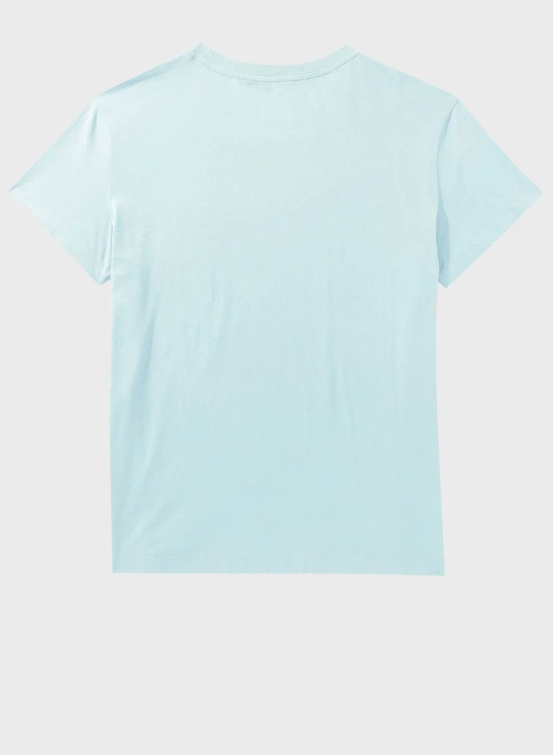 American Eagle Crew Neck Boyfriend T-Shirt