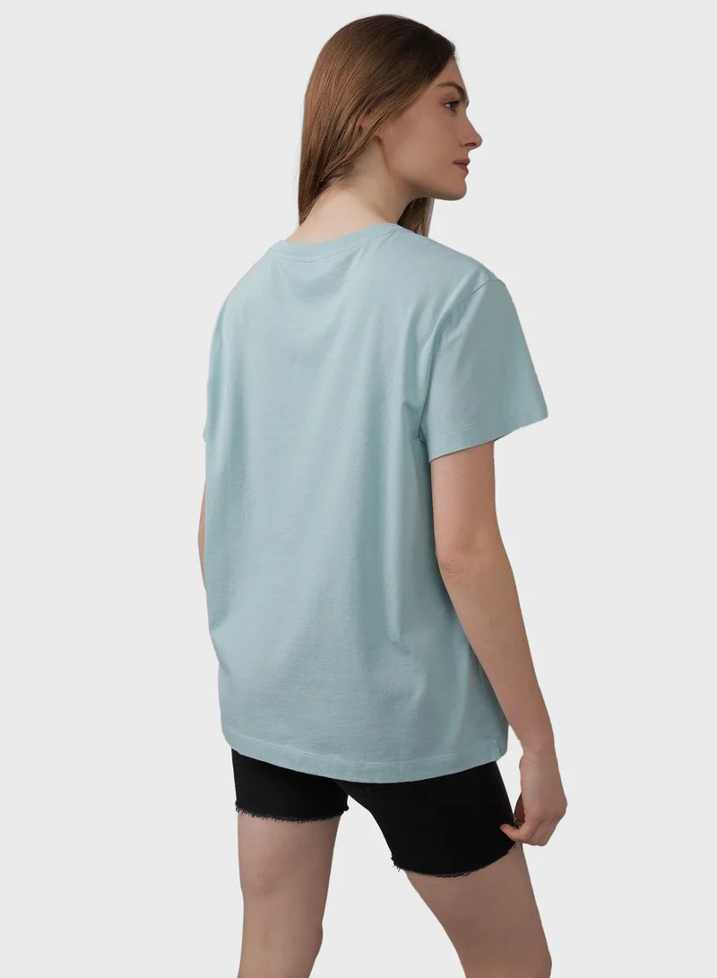 American Eagle Crew Neck Boyfriend T-Shirt
