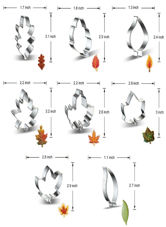 azflyife Fall Leaves 8-Piece Leaf Cookie Cutter Set - Maple Leaf, Oak Leaf, Teardrop Leaf Cookie Cutters Shapes Biscuit Fondant Molds for Fall Autumn Thanksgiving Christmas Birthday Wedding Party Decorations - Image 2