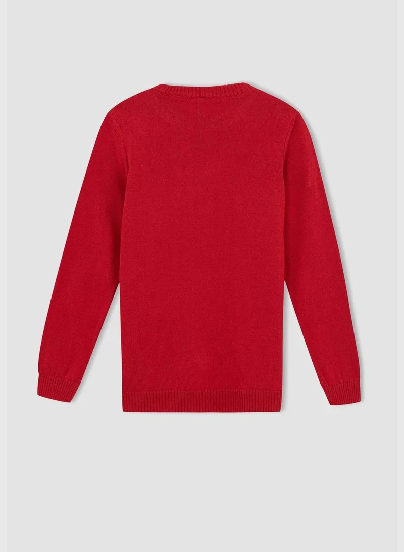 DeFacto Girl Crew Neck Long Sleeve Tricot Pullover