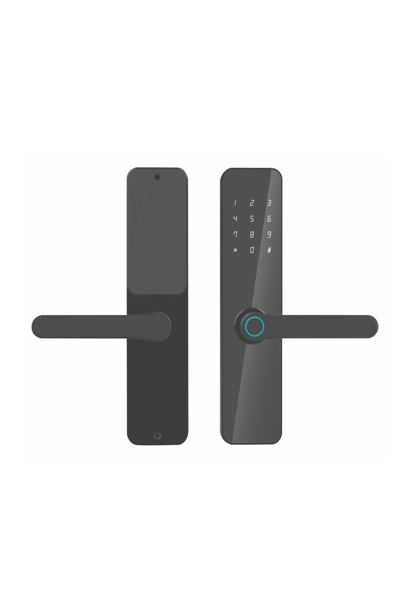 47 Palmyra Smart Lock - Image 1