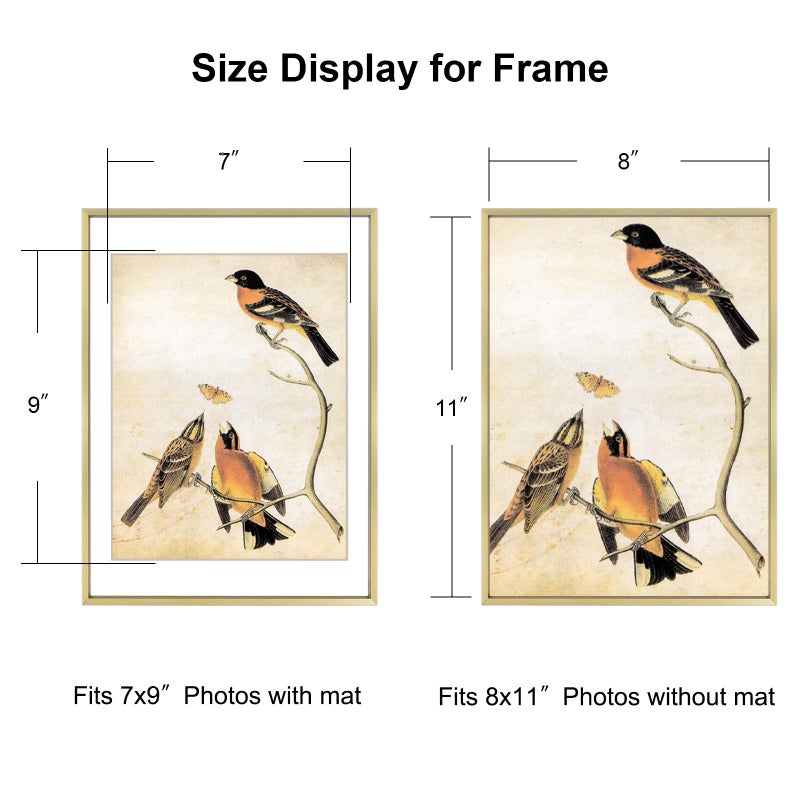 BKABOT 8x11 Picture Frame, Brass Aluminum Metal Photo Frames with HD Glass, Fits 7x9 with Mat or 8 x 11 without Mat, Display for Wall and Table - Image 2