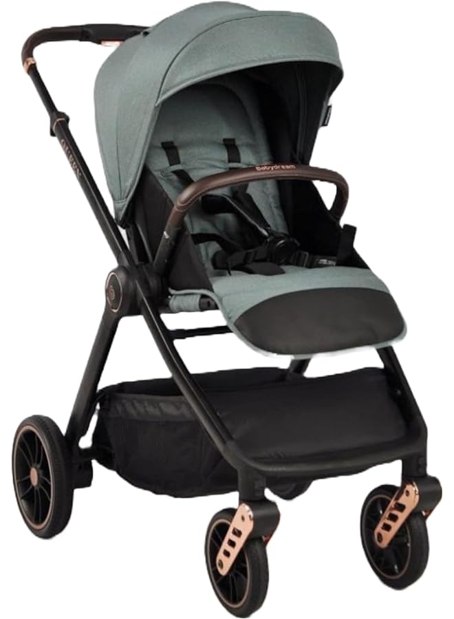 إيروريكس عربة أطفال كوين باللون الأخضر - Image 1