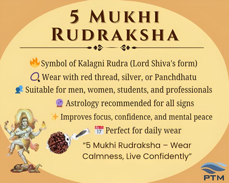 PTM Natural Certified 1/2/3/4/5/6/7/8/9/10/11/Ganesh/Gaurishankar mukhi Astrological Original Nepali Rudraksha 925 BIS Hallmark Sterling Silver Pendant for Men & Women - Image 3