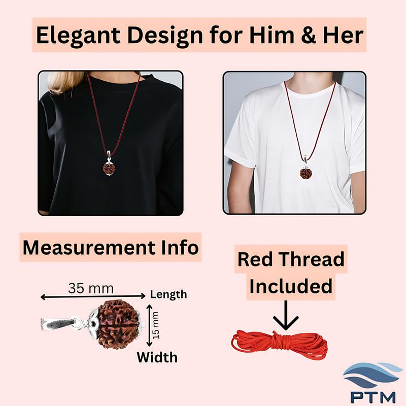 PTM Natural Certified 1/2/3/4/5/6/7/8/9/10/11/Ganesh/Gaurishankar mukhi Astrological Original Nepali Rudraksha 925 BIS Hallmark Sterling Silver Pendant for Men & Women - Image 5