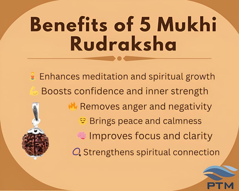 PTM Natural Certified 1/2/3/4/5/6/7/8/9/10/11/Ganesh/Gaurishankar mukhi Astrological Original Nepali Rudraksha 925 BIS Hallmark Sterling Silver Pendant for Men & Women - Image 4