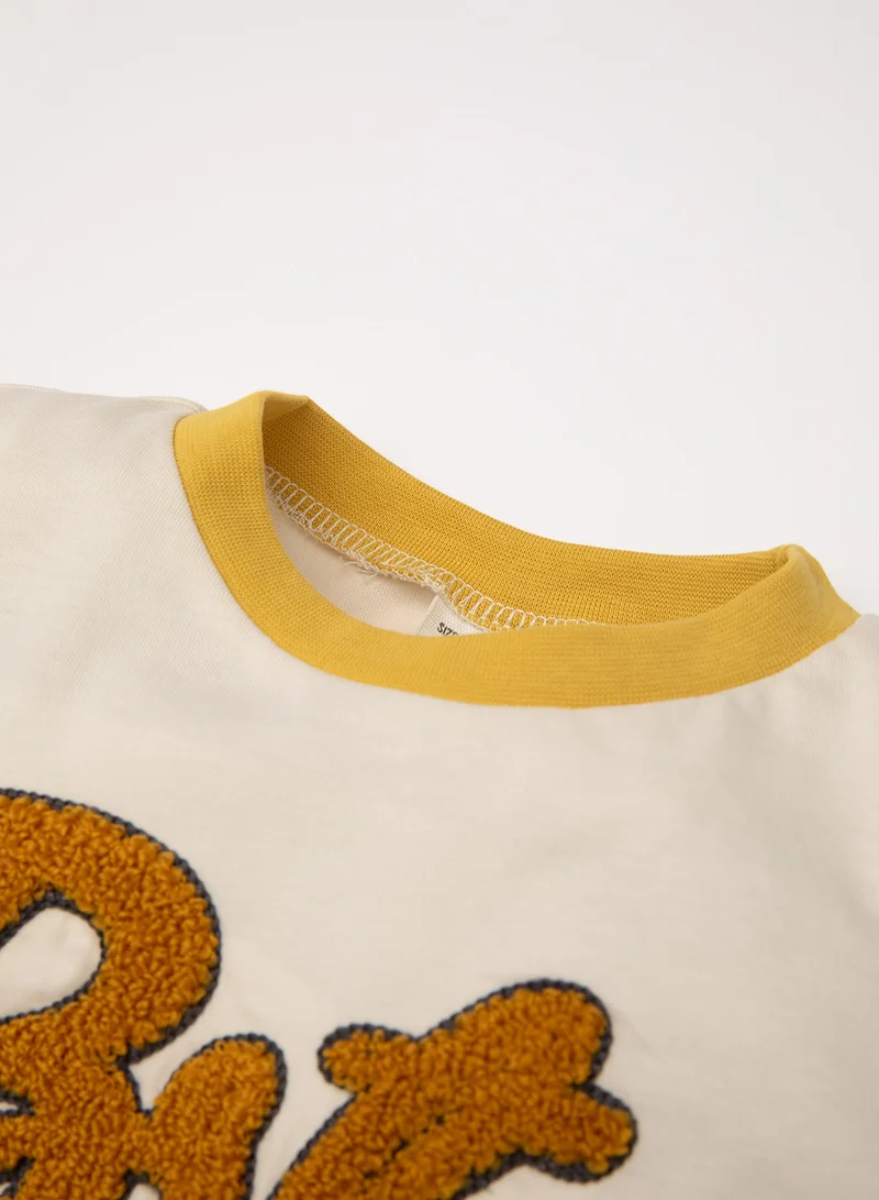 ديفاكتو Crew Neck Printed Color Block Long Sleeve T-Shirt
