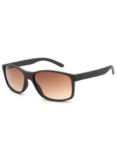MADEYES Men's UV Protection Sunglasses EE6P189 - Brown  - Image 1