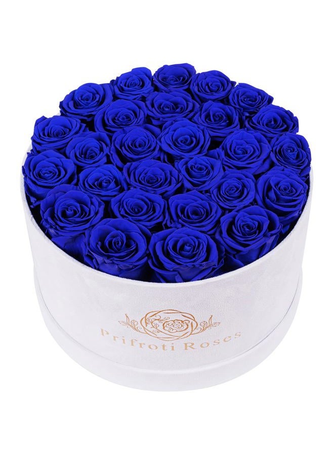 Prifroti Forever Real Roses in Suede Box - 27-Piece Roses in a Luxury Box - Real Roses That Last Over a Year - Valentines Day Flowers for Delivery Prime - Mothers Day, Christmas, Birthday (Royal Blue) - Image 1