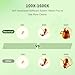 BEAVERLAB Finder 40 Microscope for Kids Handheld Miniscope 1600X Portable Kids Digital Mini Pocket Microscope for Boys Girls Educational Science Kit Toys - Image 3