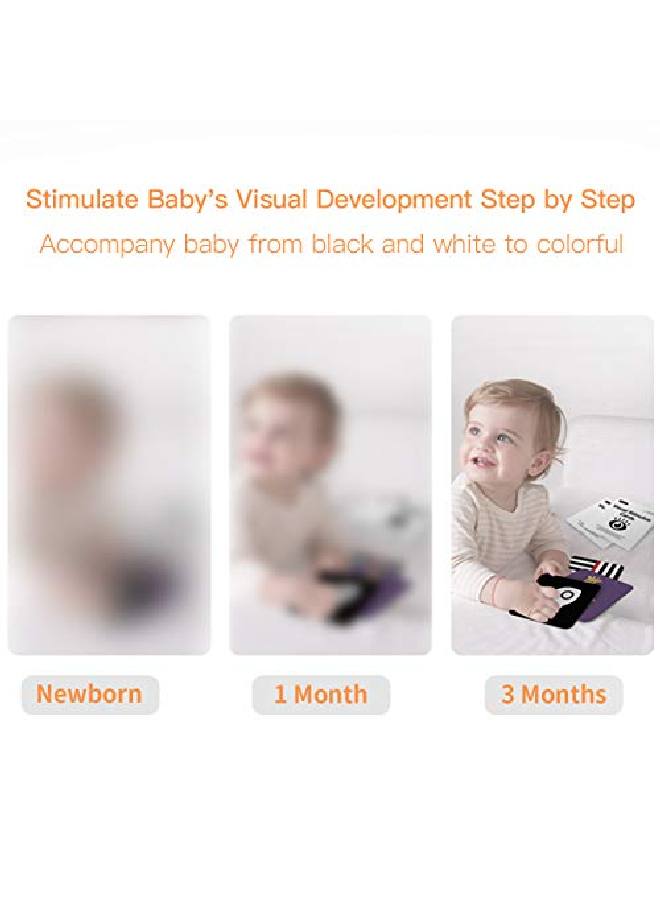 beiens High Contrast Baby Flashcard 80 Pcs 160 Page Black White Colorful Visual Stimulation Learning Activity Card For Babies Ages 0361236 Months 5.5'' X 5.5'' Newborn Infants Toys Gift - Image 3