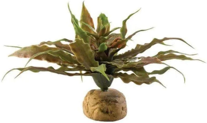 Exo Terra Star Cactus Terrarium Plant - Realistic Plastic Decoration for Reptiles and Amphibians
