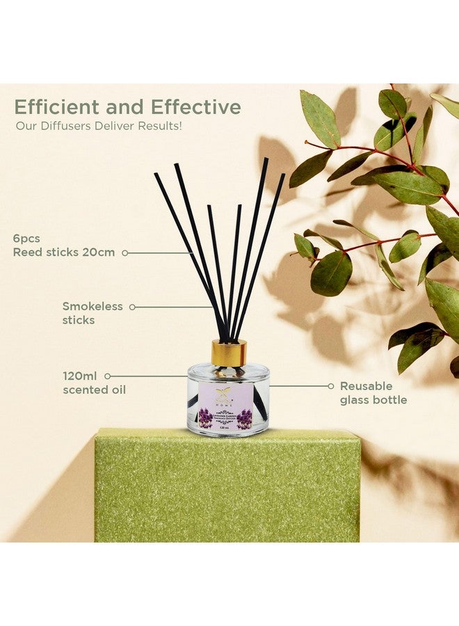 Shrida Lavender Reed Diffuser Combo with Extra 120ml Refill | Relaxing Long-Lasting Aroma for Home Office Bedroom & Bathroom | Natural Toxin-Free Room Freshener | Includes 12 Reed Sticks Gift Ready - Image 5