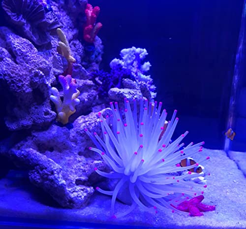 Mallofusa Artificial Aquarium Fish Tank Decoration Silicone Sea Anemone Artificial Fish Tank Ornament Decoration (White) - Image 5