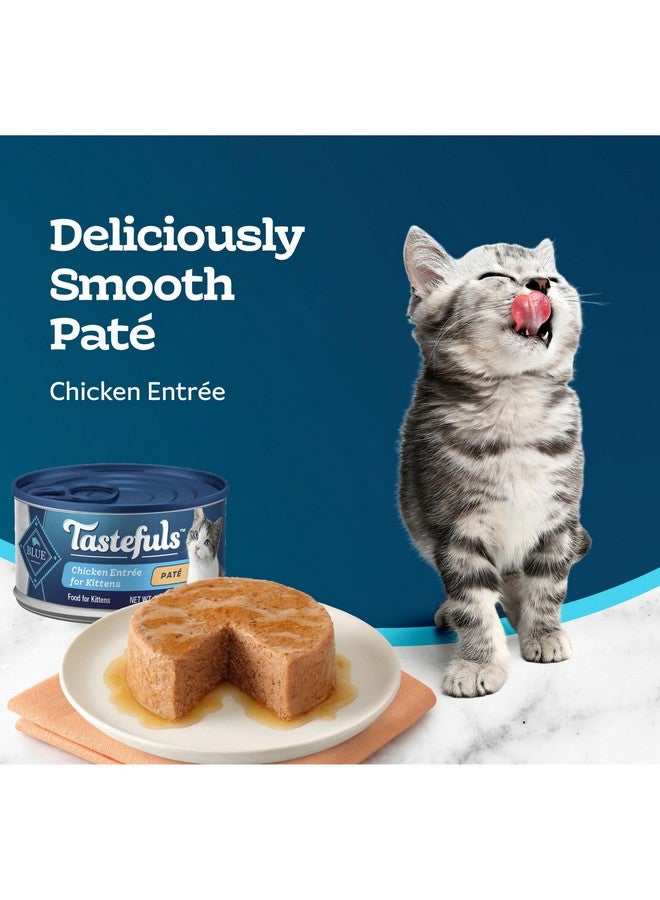 بلو بافلو طعام القطط الرطب "بلو بافالو تيستفولز" باتيه، مصنوع من مكونات طبيعية | دجاج تريه، علب سعة 86 غرامًا (24 علبة) - Image 4