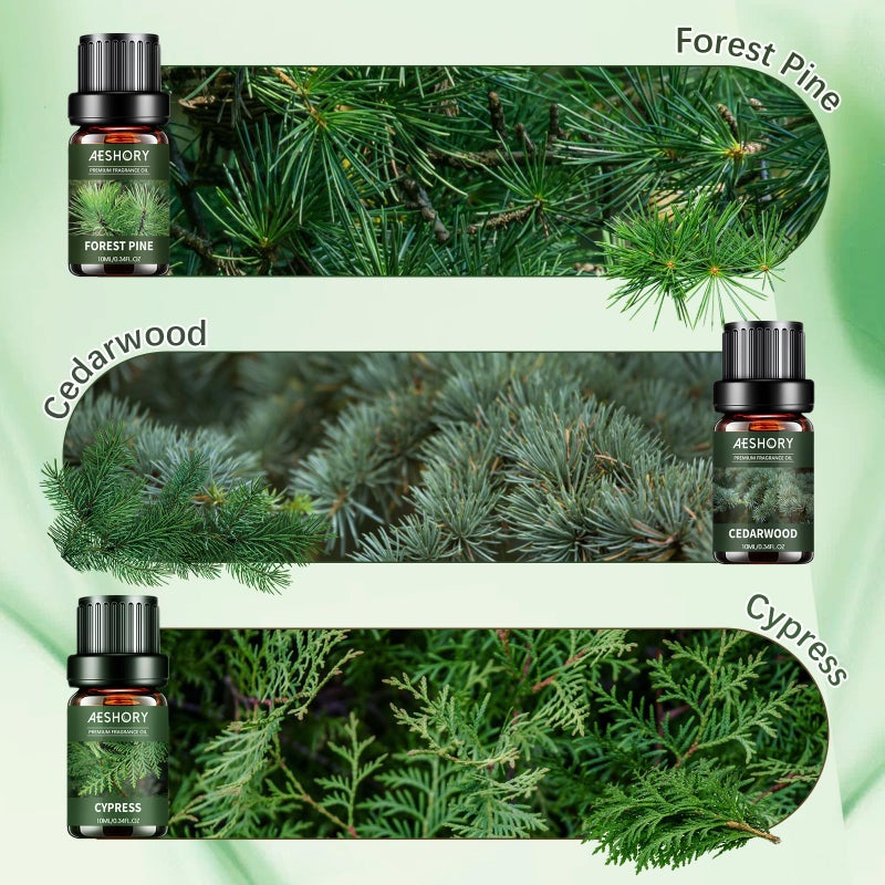 Aeshory Woody Essential Oils Set - 6x10ML Woody Scents Fragrance Oil for Candle Making, Diffuser - Teakwood, Sandalwood, Cedarwood, Cyperss, Forest Pine, Frankincense Aromatherapy Oils - Image 3
