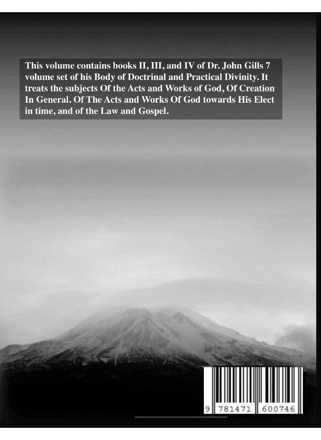 A Body Of Doctrinal Divinity, Books II,III and IV.  - Image 2