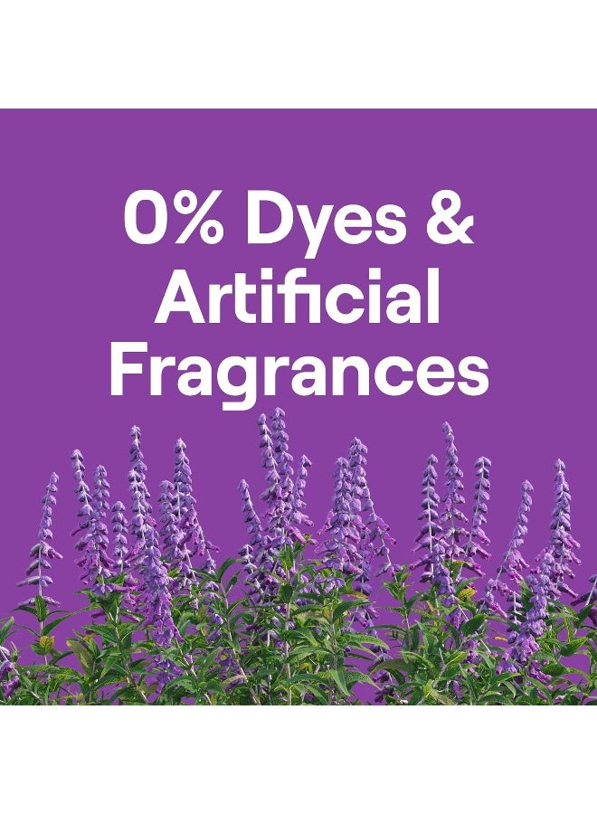 Seventh Generation EasyDose Laundry Detergent Fresh Lavender Scent 2 Pack Ultra Concentrated Washing Detergent 23 oz - Image 5