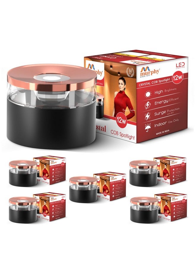 Murphy 12W Crystal Black Rose Gold Cylindrical COB Surface Lights for Ceiling (Warm White, Pack of 6) - Image 2