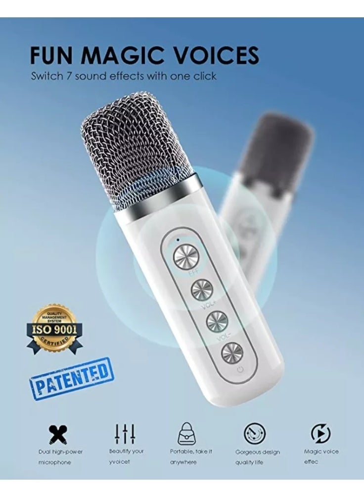 YS-219 Bluetooth Karaoke Speaker System with Dual Wireless Microphones – Powerful Portable Sound System with Deep Bass, Vocal Effects, USB/TF Playback, Rechargeable Battery for Outdoor Parties, Events & Gatherings  Silver - Image 2