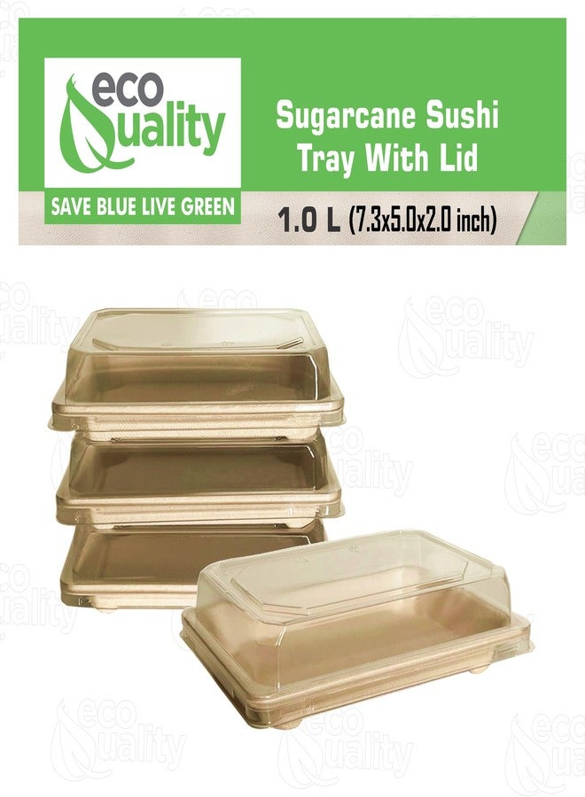 EcoQuality Large Compostable Sushi Trays with Lids - Natural Sugarcane Bagasse Take Out Sushi Container - Biodegradable, Disposable Sushi Plate with Lid, Eco Friendly, To go, Serving Tray (25) - Image 4