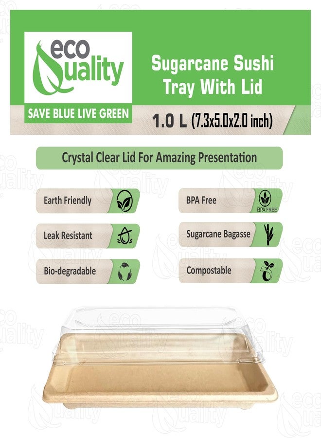 EcoQuality Large Compostable Sushi Trays with Lids - Natural Sugarcane Bagasse Take Out Sushi Container - Biodegradable, Disposable Sushi Plate with Lid, Eco Friendly, To go, Serving Tray (25) - Image 2