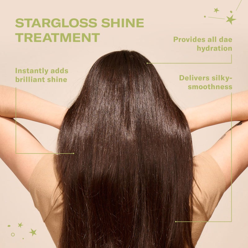 DAE Stargloss Shine Treatment - Adds Shine, Hydrates, Tames Frizz & Smooths 6 oz - Image 2