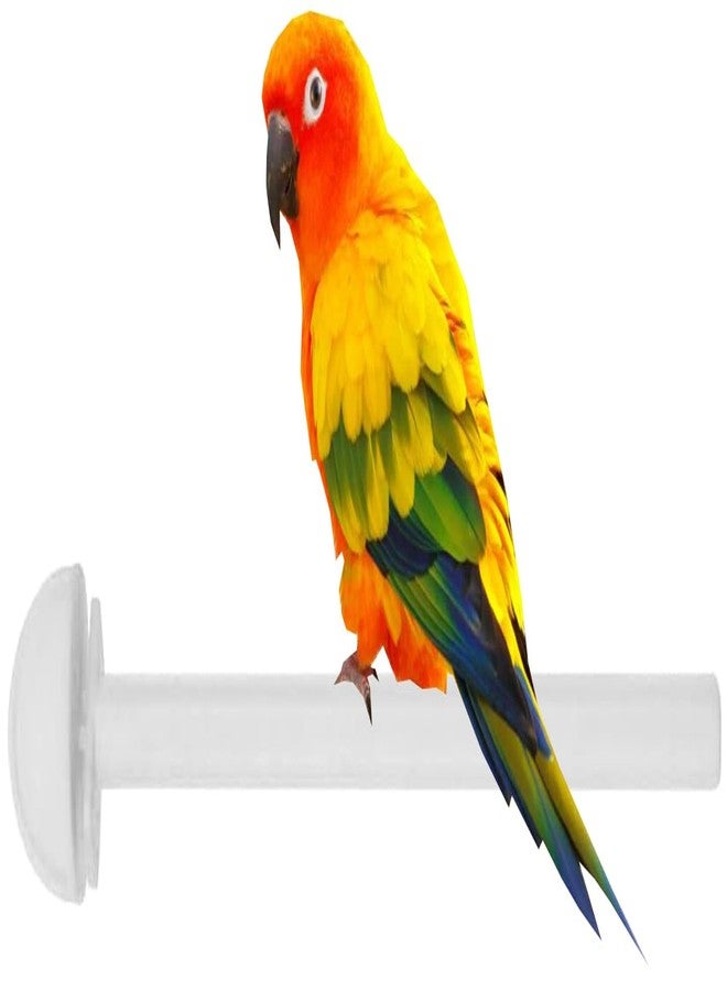 Mcage Lot of 4 Bird Parrot Cage Universal Heavy Duty Plastic Stand Perches Holders (8-Inch, White) - Image 2