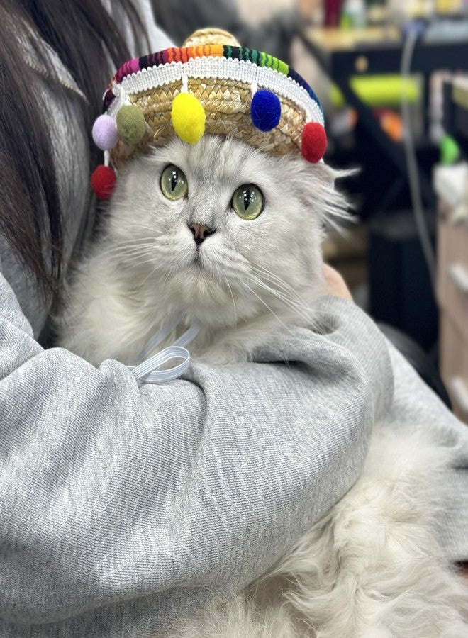 Glodecart Sombrero Cat Hat for Cats Mexican Fiesta, Mini Sombrero Hat for Cat Cinco de Mayo Party Supplies Funny Sombrero Mexican Style Hats Headwear for Small Puppy Cats Costume Cute Sombrero - Image 3