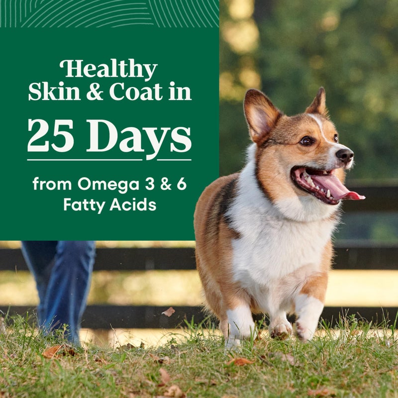 Nutro Natural Choice Small Bites Dry Dog Food, Adult Dog Food Dry Lamb & Brown Rice Recipe, 5 lbs. - Image 3