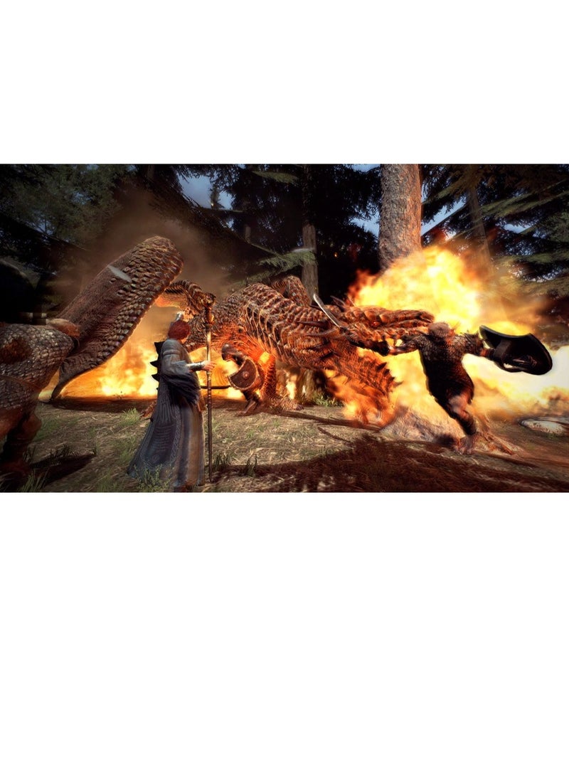 Nintendo Dragon's Dogma: Dark Arisen - Role Playing - nintendo_switch - Image 3