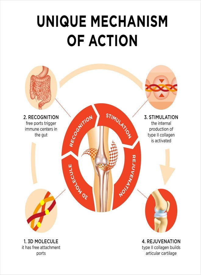 Collanol Innovation in The Care of Healthy Joints – Liquid Formula in a Double Capsule. 3D Collagen + Micelle Extract of Turmeric Roots 1 Capsule/Day. Laboratory Tested - Image 2