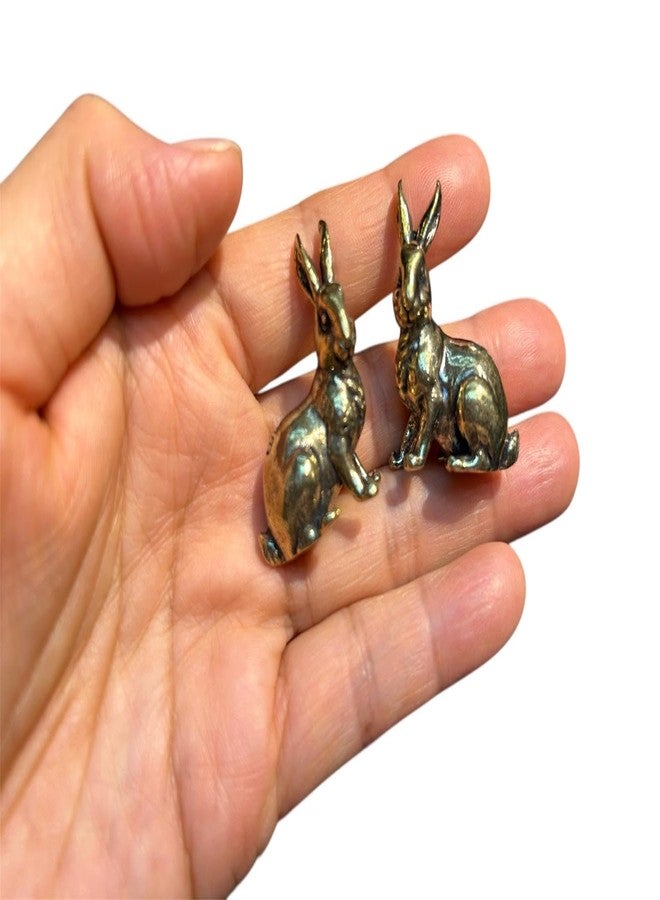 DMtse Brass Set of 2 Rabbit Left and Right Statue Figurines for Animal Sculpture Lover Decor Collectibles Lovely Gift - Image 5
