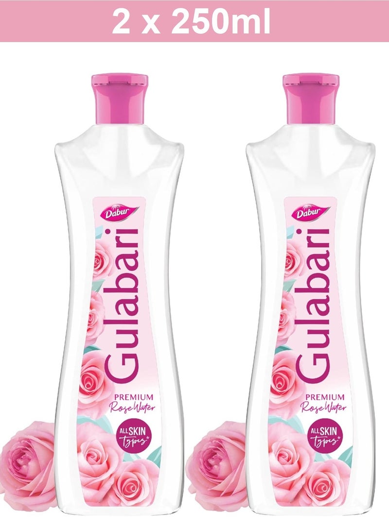 Dabur Gulabari Premium Rose Water Facial Cleansing Toner 2 X 250ml - Image 1