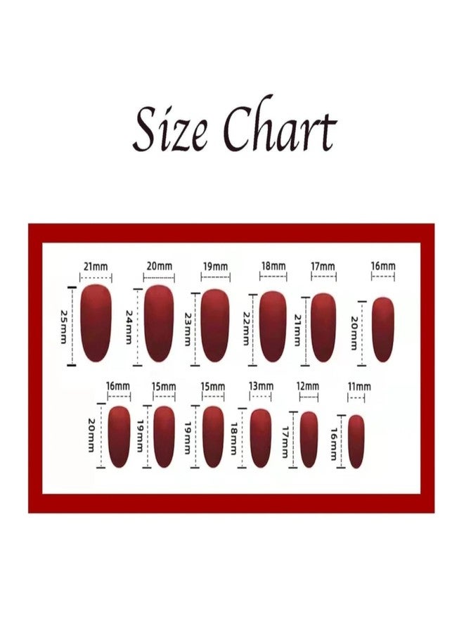 FEELHIGH 120 قطعة نصائح أظافر مضغوطة - تمديدات أظافر صناعية دائرية متوسطة في 5 ألوان، مجموعة أظافر مزيفة قابلة لإعادة الاستخدام للنساء والفتيات، 12 حجم، لمسة تشبه الصالون (ظل 01) - Image 2