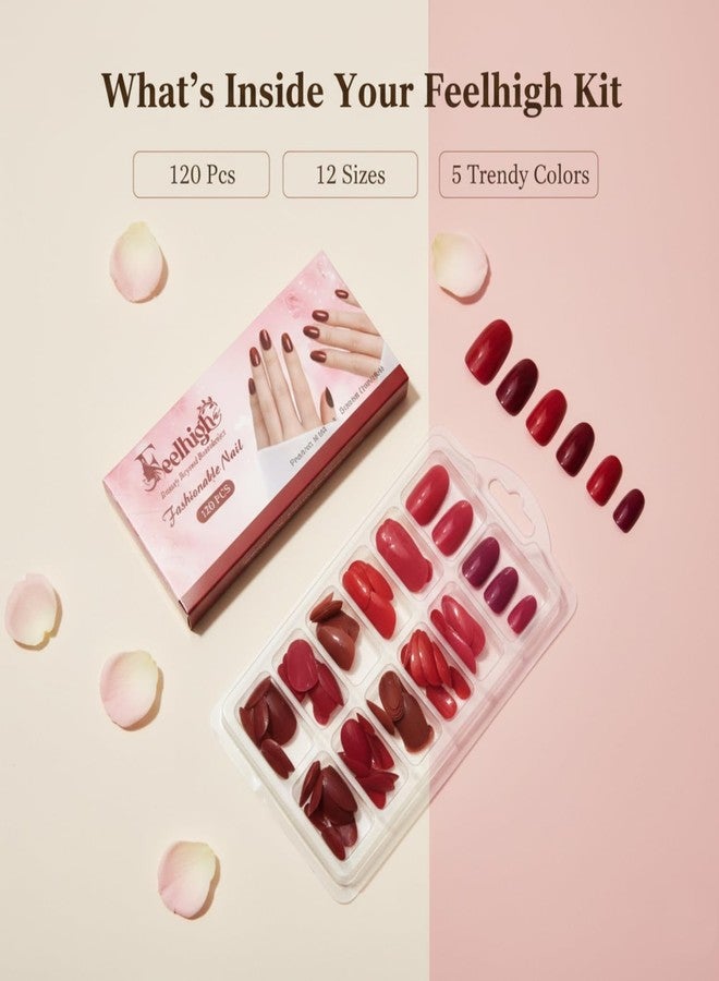 FEELHIGH 120 قطعة نصائح أظافر مضغوطة - تمديدات أظافر صناعية دائرية متوسطة في 5 ألوان، مجموعة أظافر مزيفة قابلة لإعادة الاستخدام للنساء والفتيات، 12 حجم، لمسة تشبه الصالون (ظل 01) - Image 3