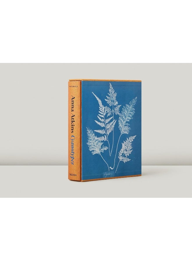 Anna Atkins. Cyanotypes  - Image 2