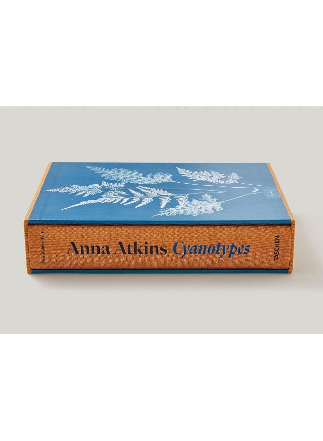 Anna Atkins. Cyanotypes  - Image 5
