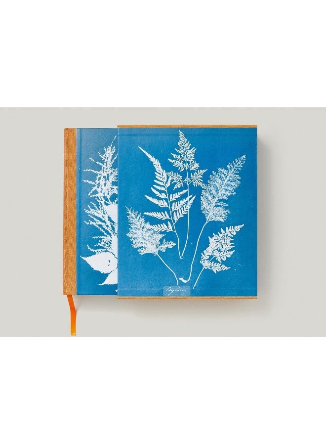 Anna Atkins. Cyanotypes  - Image 4