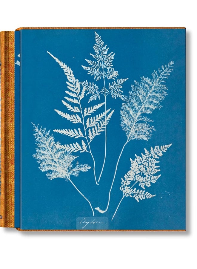 Anna Atkins. Cyanotypes  - Image 1