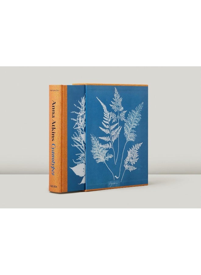 Anna Atkins. Cyanotypes  - Image 3