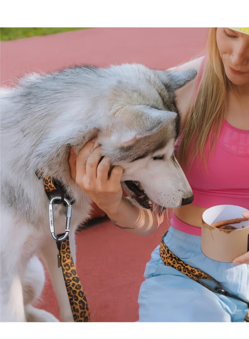 موندا 4 قطع مشبك على شكل حرف D مع قفل متين وسلسلة مفاتيح ومشابك قفل تلقائي لتأمين الحيوانات الأليفة، في الهواء الطلق، والتخييم، والمشي لمسافات طويلة، والأرجوحة، وحزام مقود الكلب - Image 5