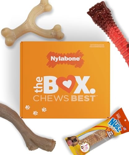 Nylabone Dog Gift Box Includes 3 Strong Chew Toys and 1 Natural Treat Gifts for Dogs Large Up to 50 lbs 4 Pack - Image 1