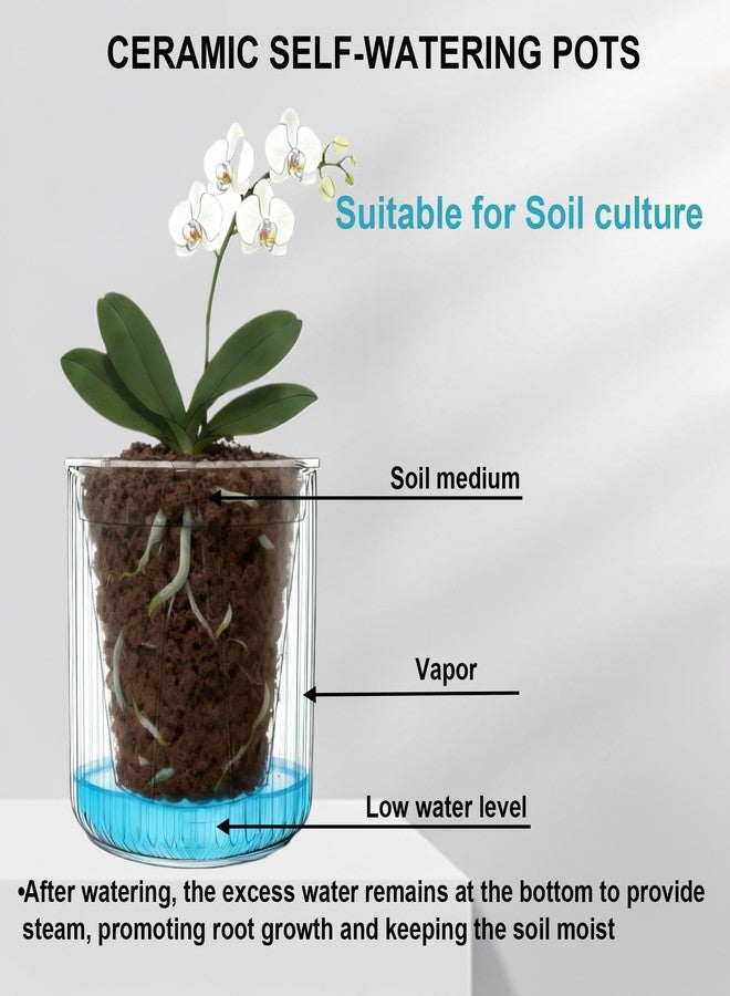 TineDew 2 Pack of 5 inch self Watering Ceramic pots for Indoor Plants with Clear Inner Pot,semi hydroponic pots for leca and pon,Ceramic Plant Pot for Violet and Orchid,Indoor or Outdoor use - Image 4