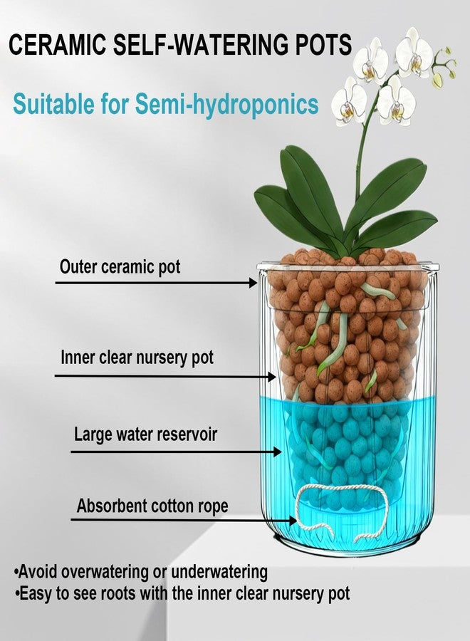 TineDew 2 Pack of 5 inch self Watering Ceramic pots for Indoor Plants with Clear Inner Pot,semi hydroponic pots for leca and pon,Ceramic Plant Pot for Violet and Orchid,Indoor or Outdoor use - Image 3