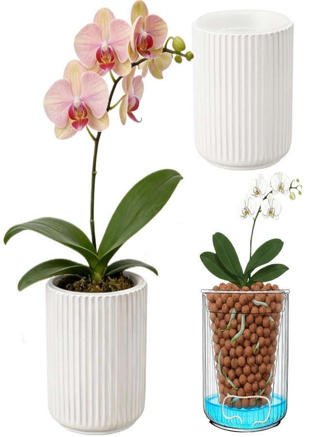 TineDew 2 Pack of 5 inch self Watering Ceramic pots for Indoor Plants with Clear Inner Pot,semi hydroponic pots for leca and pon,Ceramic Plant Pot for Violet and Orchid,Indoor or Outdoor use - Image 1