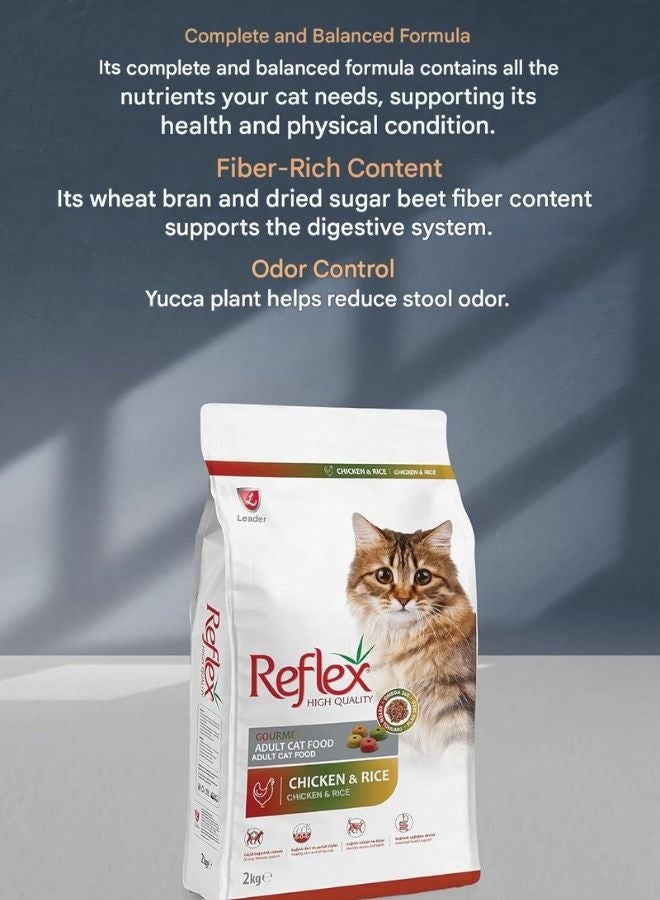 REFLEX Kitten Food Chicken  2Kg – Premium Dry Cat Food for Kittens, Healthy Digestion & Coat Support - Image 3